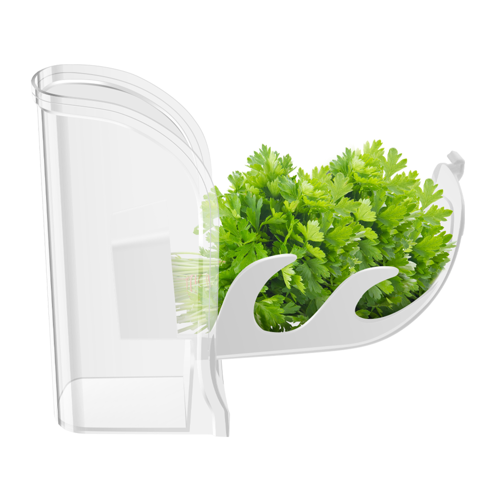 Kruidenscherper Saver Containe - Kitchen Gadgets Modern recensie en prijs