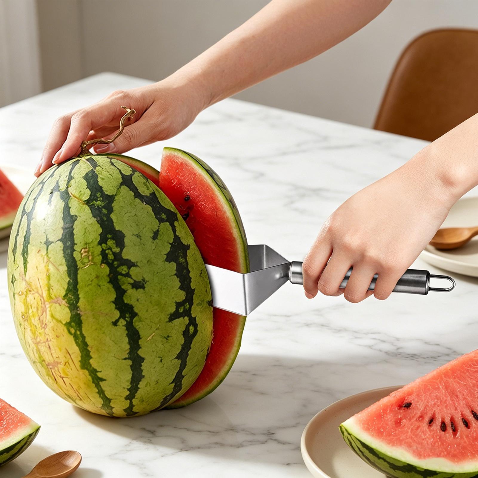 Watermeloen-snijder van roestv - Watermelon Slicer Cutter recensie en prijs