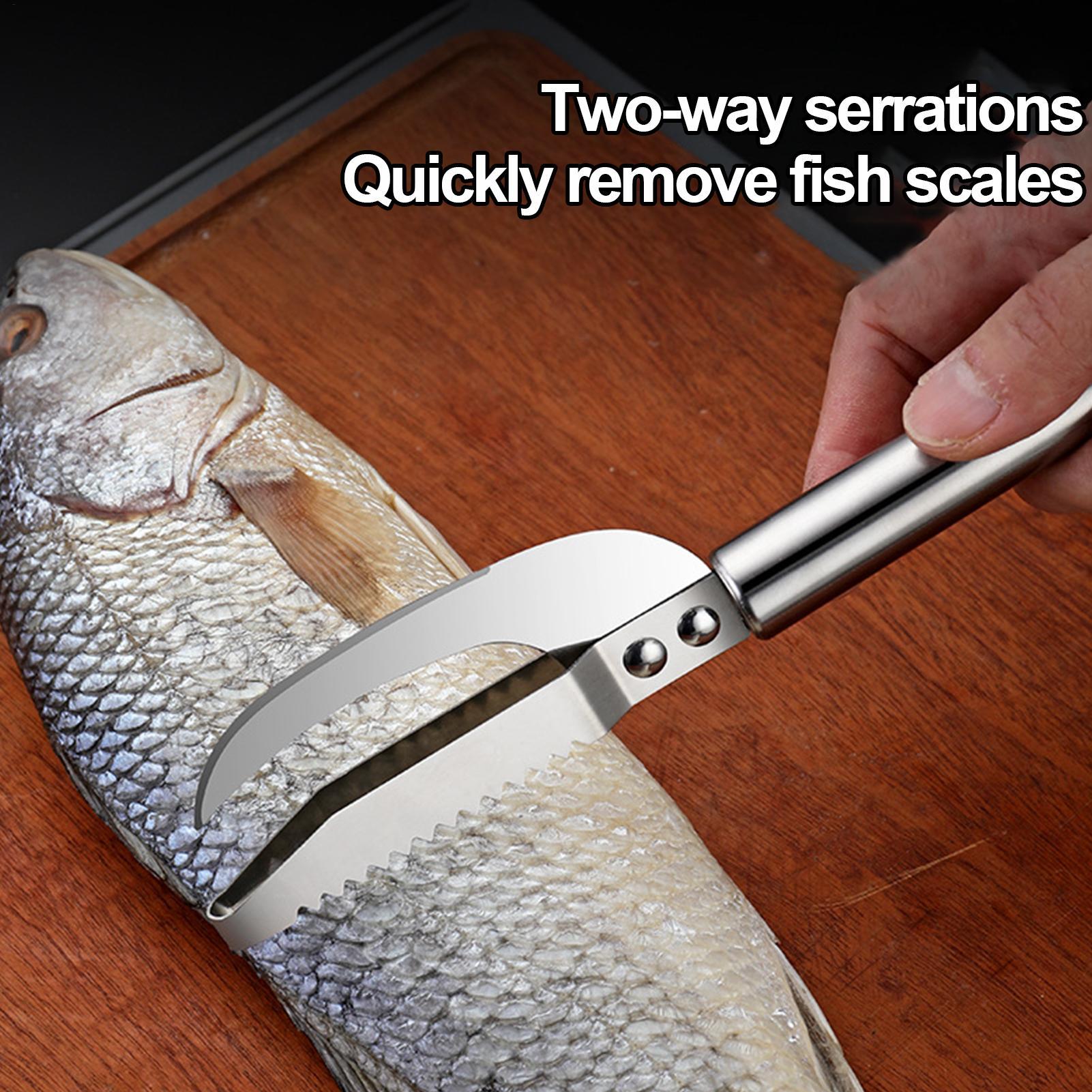 Vis-schubbenverwijderaar mes g - Kitchen Gadgets Everyone Needs recensie en prijs