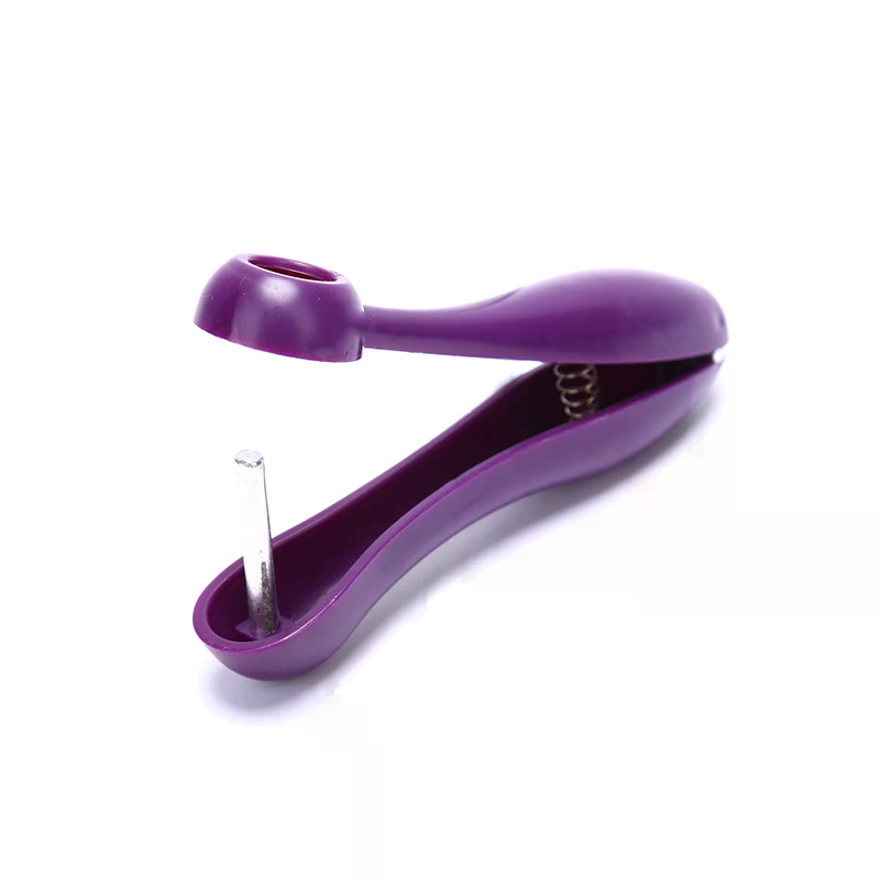Gemakkelijke kersen- en olijfp - Kitchen Gadgets Xmas Gifts recensie en prijs
