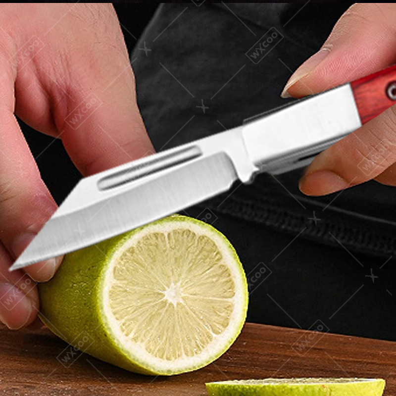 Roestvrijstalen zakmes Palissa - Kitchen Gadgets And Accessories recensie en prijs